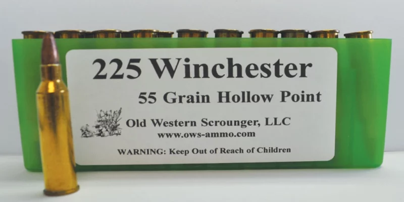 225 Winchester 55GR HP