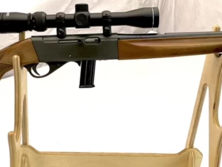 Anschutz 520 semi-auto .22LR rifle with scope and 10-rd magazine SN 17476