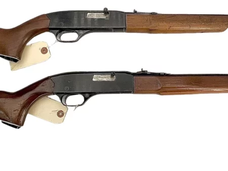 Winchester Model 290 .22LR semi-auto rifle