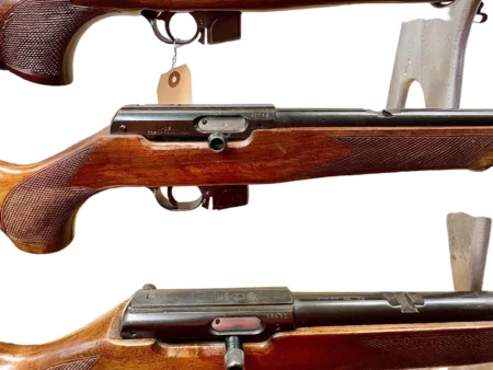 Czech BRNO Model 511 semi-auto .22LR with magazine no sights